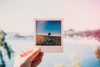 Ilustrasi. Ubah foto jadi ilustrasi gaya Studio Ghibli dengan AI Studio Ghibli, sempurna untuk penggemar animasi. (Foto: Pexels)
