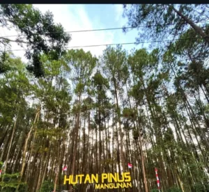 Mau Healing? Cek Tempat Wisata Jogja Terbaru yang Wajib Dikunjungi 2025! Mau Healing? Cek Tempat Wisata Jogja Terbaru yang Wajib Dikunjungi 2025!
