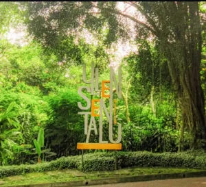 Mau Healing? Cek Tempat Wisata Jogja Terbaru yang Wajib Dikunjungi 2025! Mau Healing? Cek Tempat Wisata Jogja Terbaru yang Wajib Dikunjungi 2025!