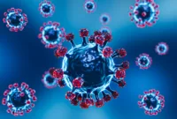 Virus HKU5