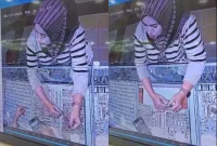 Wanita curi emas 50 gram di Mall Bekasi, terekam CCTV dan viral, rugikan pegawai toko secara pribadi. (Foto: Facebook Dheddy Ingindieemengertyy)