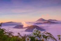 Fenomena Langka! Ini 5 Fakta Embun Es di Gunung Bromo yang Viral dan Mirip Salju Asli
