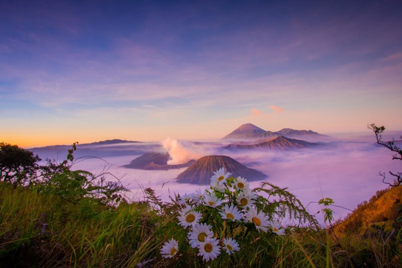 Ilustrasi. Gunung Bromo diselimuti embun es saat musim kemarau, menciptakan pemandangan langka yang seperti negeri salju. (Foto: Pexels)