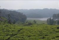 Ilustrasi Keindahan Alam Bandung Selatan, Situ Patenggang