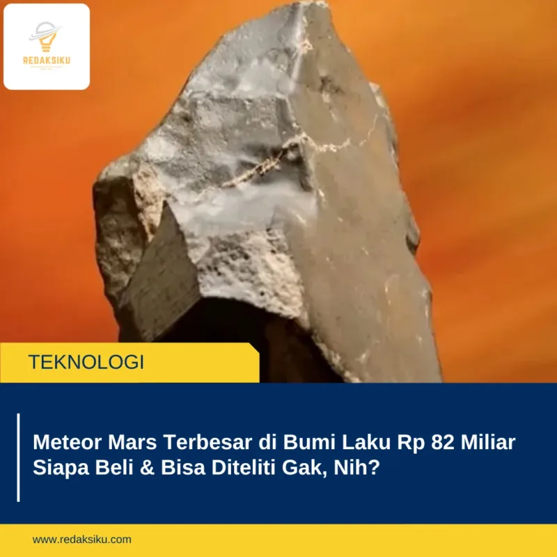 Meteor Mars Terbesar di Bumi Laku Rp 82 Miliar Siapa Beli & Bisa Diteliti Gak, Nih?