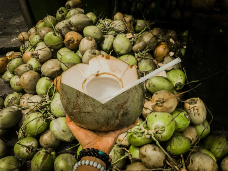 Ilustrasi air kelapa yang segar.