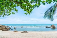 Beautiful outdoor tropical beach sea around samui island with coconut palm tree and other for holiday vacation travel