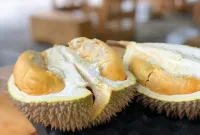 Ini Manfaat Durian untuk Kesehatan dan Tips Aman Menikmatinya