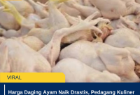 Harga Daging Ayam Naik Drastis, Pedagang Kuliner hingga Anak Gym Ikut Keluhkan