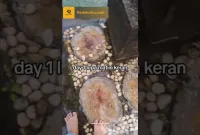 Lupa matiin kran, sekolah ini jadi punya kolam renang