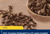 FDA Temukan Radioaktif Cs-137 pada Cengkeh Indonesia, Pemerintah Lakukan Penyelidikan
