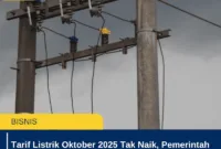 Tarif Listrik Oktober 2025 Tak Naik, Pemerintah Pastikan Harga Termurah Tetap Rp415 per kWh