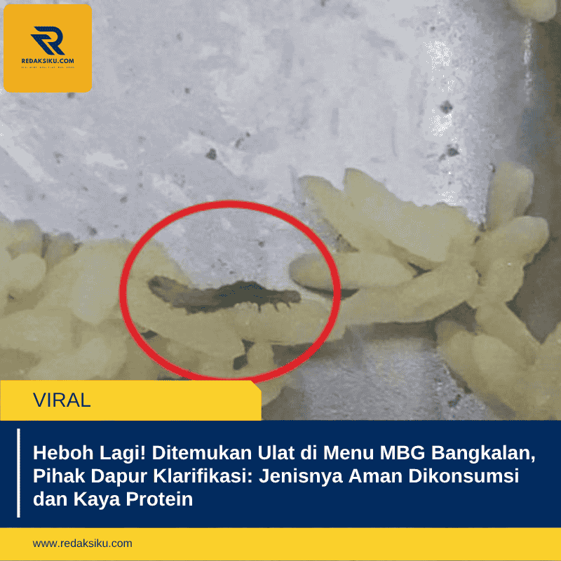 Heboh Lagi! Ditemukan Ulat di Menu MBG Bangkalan, Pihak Dapur Klarifikasi: Jenisnya Aman Dikonsumsi dan Kaya Protein