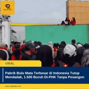 PABRIK BULU MATA TERBESAR DI INDONESIA TUTUP MENDADAK, 1.500 BURUH DI-PHK TANPA PESANGON PABRIK BULU MATA TERBESAR DI INDONESIA TUTUP MENDADAK, 1.500 BURUH DI-PHK TANPA PESANGON