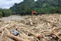 Viral Dokumen Lingkungan Dicabut, 8 Perusahaan Diduga Picu Banjir dan Longsor Sumatra
