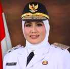 Viral Dugaan Ijazah Palsu Wakil Gubernur Babel, Pemerintahan Tetap Jalan