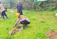 Kapolsek Pujananting Iptu Sahabuddin turun langsung menanam bibit kopi bersama Forkopimca dan petani sebagai wujud dukungan terhadap sektor pertanian dan kesejahteraan masyarakat.