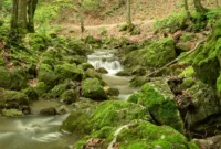 11 Wisata Alam Malang yang Bikin Pikiran Segar