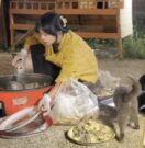 Viral Aksi Wanita China Selamatkan Kucing Liar dengan Sisa Makanan Pesta Pernikahan