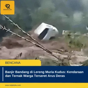 BANJIR BANDANG DI LERENG MURIA KUDUS: KENDARAAN DAN TERNAK WARGA TERSERET ARUS DERAS