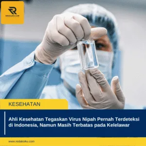 Ahli Kesehatan Tegaskan Virus Nipah Pernah Terdeteksi di Indonesia, Namun Masih Terbatas pada Kelelawar Ahli Kesehatan Tegaskan Virus Nipah Pernah Terdeteksi di Indonesia, Namun Masih Terbatas pada Kelelawar