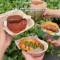 JKTGO Crazy Dessert Festival 2026 di Jakarta hadirkan 35 tenant dessert spesial, pengalaman manis tak terlupakan. (Foto: Instagram @udahcobabelum)