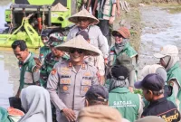 Kapolres Barru AKBP Ananda Fauzi Harahap, S.I.K., M.H. menghadiri sekaligus mengawal kegiatan Percepatan Tanam di Lokasi Oplah/Cetak Sawah Rakyat 50.000 Hektar Serempak di Sepeâ€™e, 
