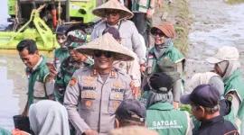 Kapolres Barru AKBP Ananda Fauzi Harahap, S.I.K., M.H. menghadiri sekaligus mengawal kegiatan Percepatan Tanam di Lokasi Oplah/Cetak Sawah Rakyat 50.000 Hektar Serempak di Sepeâ€™e, 