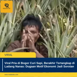 VIRAL PRIA DI BOGOR CURI SAPI, BERAKHIR TERTANGKAP DI LADANG NANAS: DUGAAN MOTIF EKONOMI JADI SOROTAN VIRAL PRIA DI BOGOR CURI SAPI, BERAKHIR TERTANGKAP DI LADANG NANAS: DUGAAN MOTIF EKONOMI JADI SOROTAN
