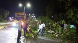Demi Kelancaran Arus Lalu Lintas, Polisi Barru Bersihkan Pohon Tumbang