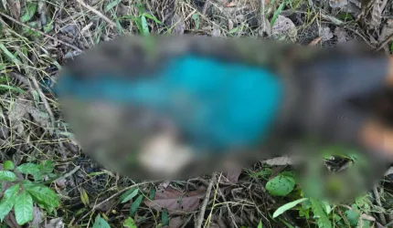 TENGKORAK RETAK DAN KAKI PATAH, PELAJAR DITEMUKAN TEWAS DI KEBUN WAJO