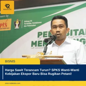Harga Sawit Terancam Turun? SPKS Wanti-Wanti Kebijakan Ekspor Baru Bisa Rugikan Petani! Harga Sawit Terancam Turun? SPKS Wanti-Wanti Kebijakan Ekspor Baru Bisa Rugikan Petani!