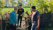Satreskrim Barru Bergerak Cepat Usut Kasus Pencurian Ternak
