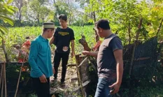 Empat Kambing Digondol Maling, Polisi Dalami Kasus