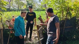 Satreskrim Barru Bergerak Cepat Usut Kasus Pencurian Ternak