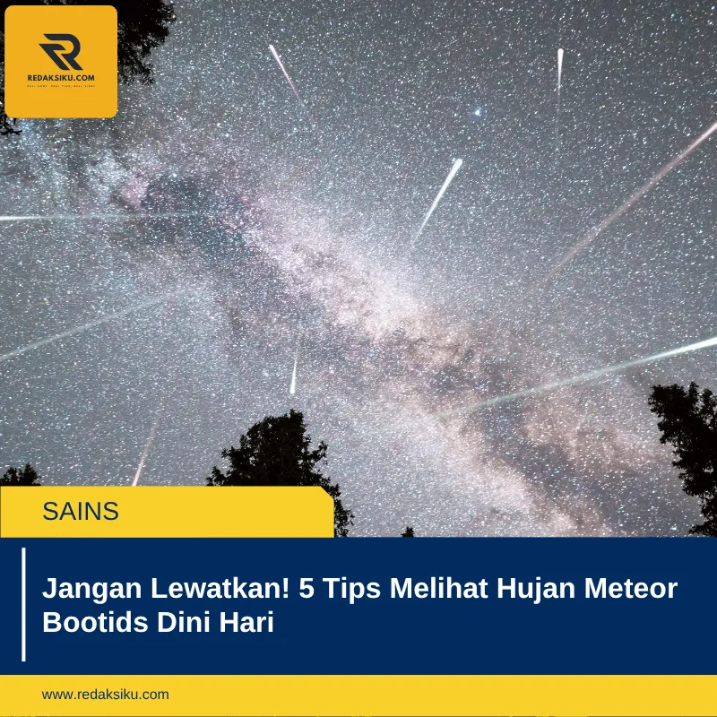 Jangan Lewatkan! 5 Tips Melihat Hujan Meteor Bootids Dini Hari