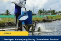 Persiapan Kolam yang Sering Diremehkan: Fondasi Sukses Sebelum Tebar