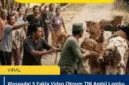 Waspada! 5 Fakta Video Oknum TNI Ambil Lembu Disebut Hoaks