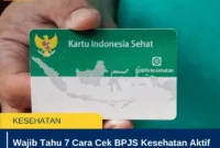 Wajib Tahu 7 Cara Cek BPJS Kesehatan Aktif Lewat HP
