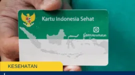 Wajib Tahu 7 Cara Cek BPJS Kesehatan Aktif Lewat HP