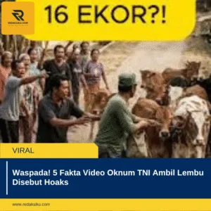 Waspada! 5 Fakta Video Oknum TNI Ambil Lembu Disebut Hoaks Waspada! 5 Fakta Video Oknum TNI Ambil Lembu Disebut Hoaks