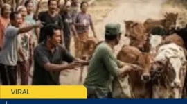 Waspada! 5 Fakta Video Oknum TNI Ambil Lembu Disebut Hoaks