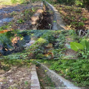 Irigasi Rusak, Petani di Barru Terancam Gagal Panen, Firdaus Permadi: Jangan Cuma Janji! 1 Kerusakan jaringan irigasi di Dusun Lapao, Desa Binuang, Kecamatan Balusu, Kabupaten Barru, kembali menjadi perhatian.