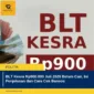 BLT Kesra Rp900.000 Juli 2026 Belum Cair, Ini Penjelasan dan Cara Cek Bansos