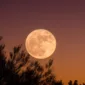 Jadwal Full Moon 2026 Lengkap, Catat Tanggal Buck Moon hingga Cold Moon