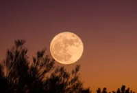Ilustrasi. Berikut jadwal Full Moon 2026 mulai dari Wolf Moon hingga Cold Moon, termasuk fenomena gerhana bulan yang terjadi tahun ini. (Foto: Unsplash)