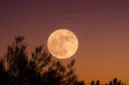 Ilustrasi. Berikut jadwal Full Moon 2026 mulai dari Wolf Moon hingga Cold Moon, termasuk fenomena gerhana bulan yang terjadi tahun ini. (Foto: Unsplash)