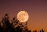 Ilustrasi. Berikut jadwal Full Moon 2026 mulai dari Wolf Moon hingga Cold Moon, termasuk fenomena gerhana bulan yang terjadi tahun ini. (Foto: Unsplash)