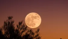Ilustrasi. Berikut jadwal Full Moon 2026 mulai dari Wolf Moon hingga Cold Moon, termasuk fenomena gerhana bulan yang terjadi tahun ini. (Foto: Unsplash)