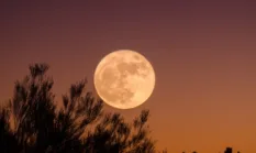 Jadwal Full Moon 2026 Lengkap, Catat Tanggal Buck Moon hingga Cold Moon
